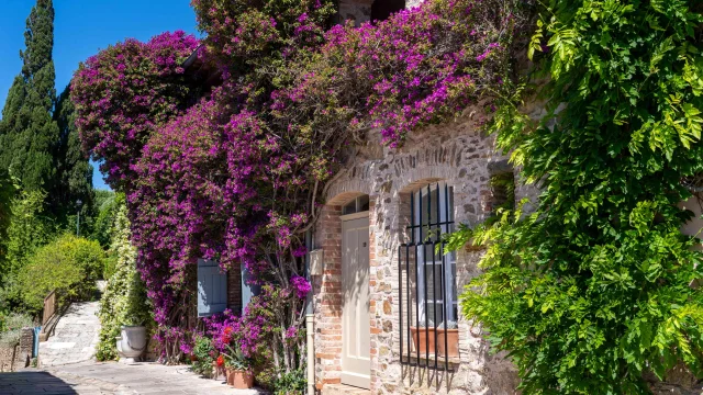 Grimaud Village Historique Var 123