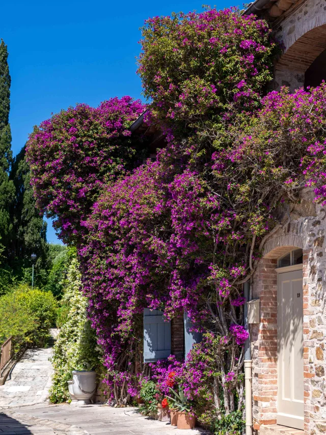 Grimaud Village Historique Var 123