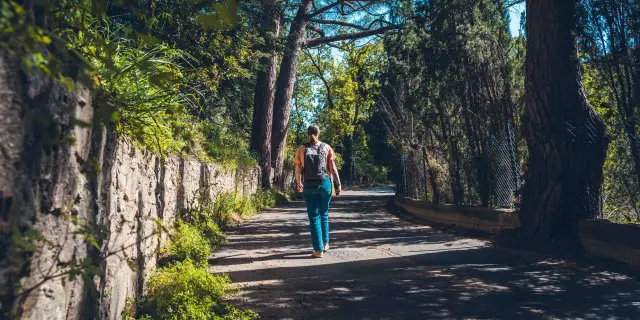 Catellane Trail Grimaud 4