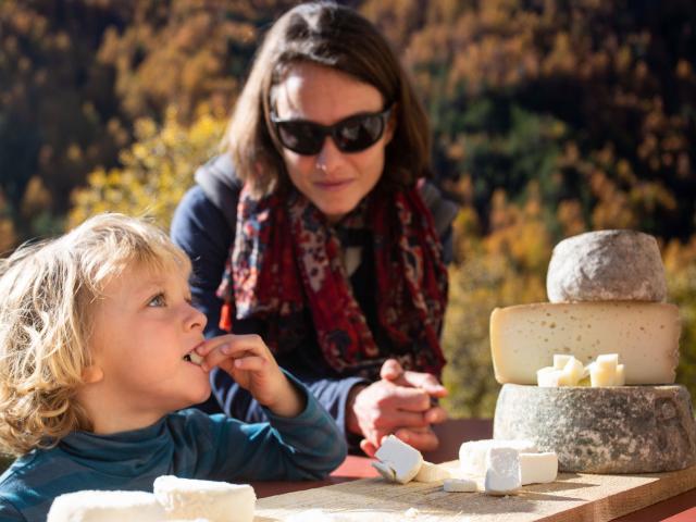 Dégustation De Fromage De Chèvre