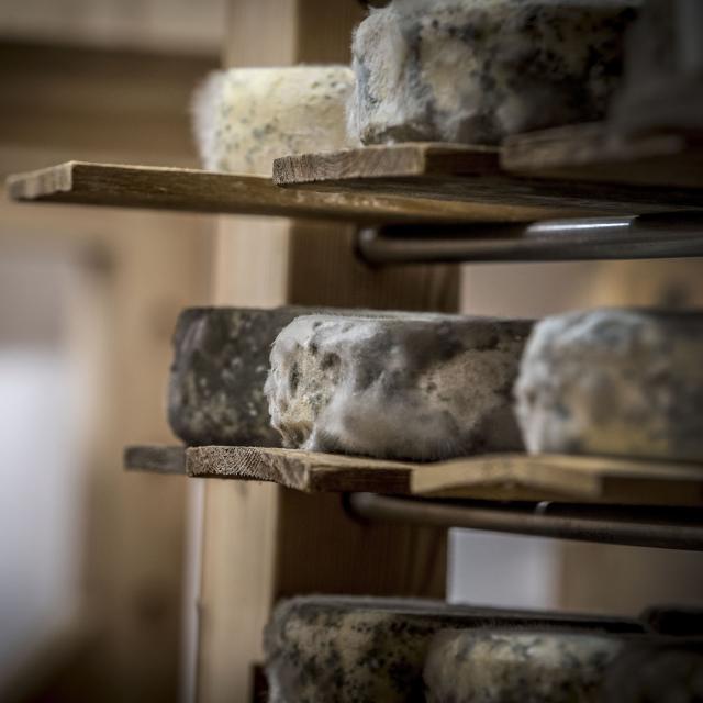 Caves Bleu Du Queyras Mont Dauphin© Patrick Domeyne (31)