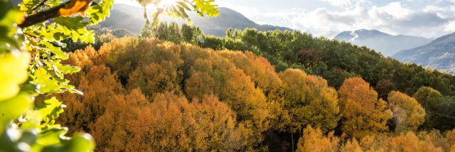 Guillestre Couleurs D Automne©pema