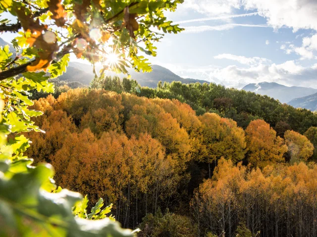 Guillestre Couleurs D Automne©pema