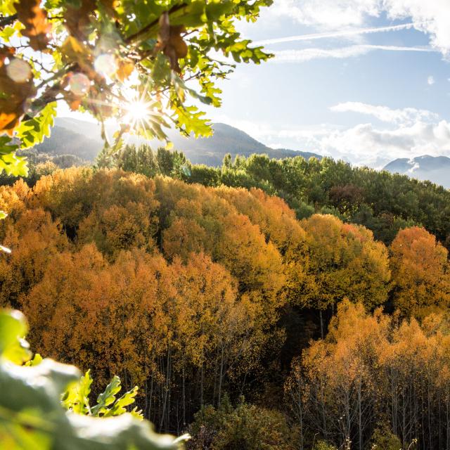 Guillestre Couleurs D Automne©pema