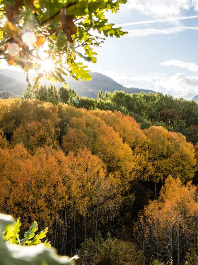Guillestre Couleurs D Automne©pema