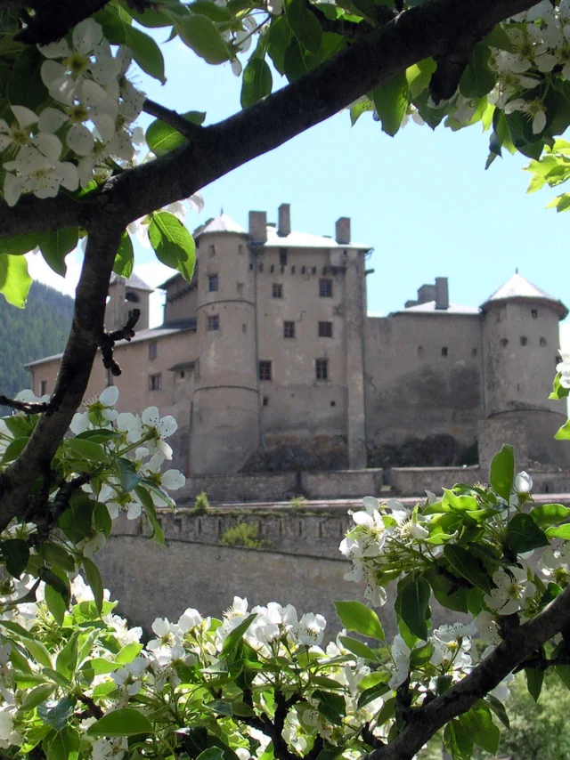 Fort Queyras©nl Otgq