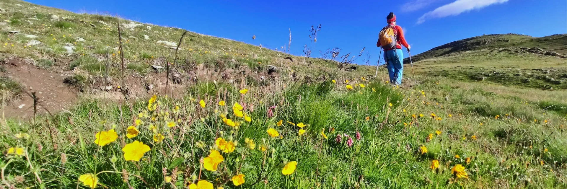 ©g Vallot Réotier Rando Pinfol Lac Du Laus Rs 23