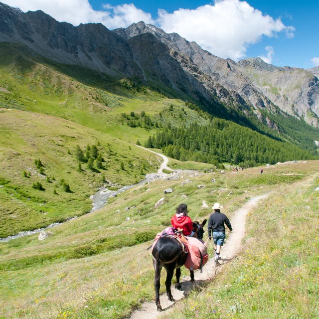 Gr58 Images Et Reves