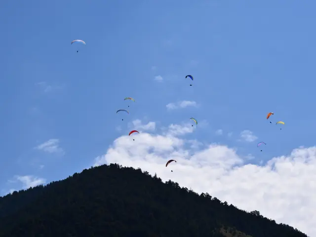 Festivol 2016 à Ceillac