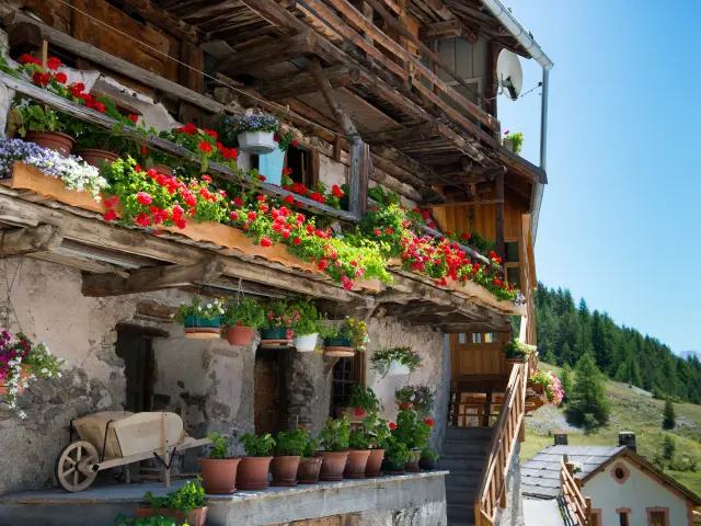 Souliers 16 ©images Et Reves