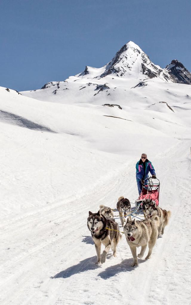 chiens-de-traineaufabrice-amoros.jpg