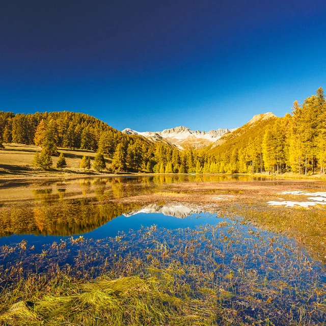 Queyras Lac De Roue Arvieux©fabrice Amoros