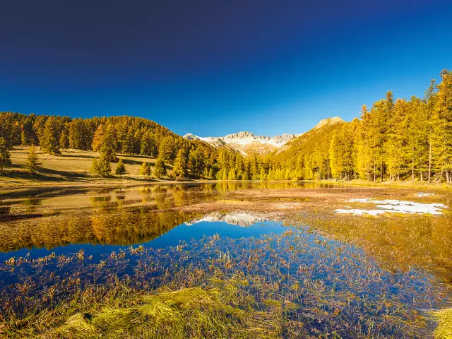 Queyras Lac De Roue Arvieux