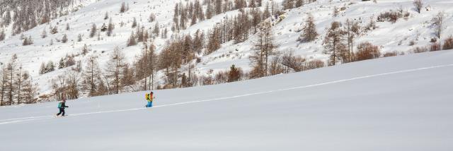 Ski De Randonnée Ristolas Hd 2 ©pema