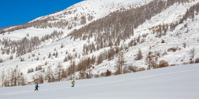 Ski De Randonnée Ristolas Hd 2 ©pema