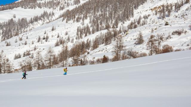 Ski De Randonnée Ristolas Hd 2 ©pema