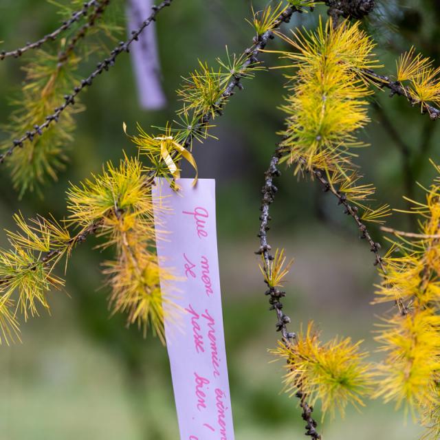 Nature Connexion Fb 66