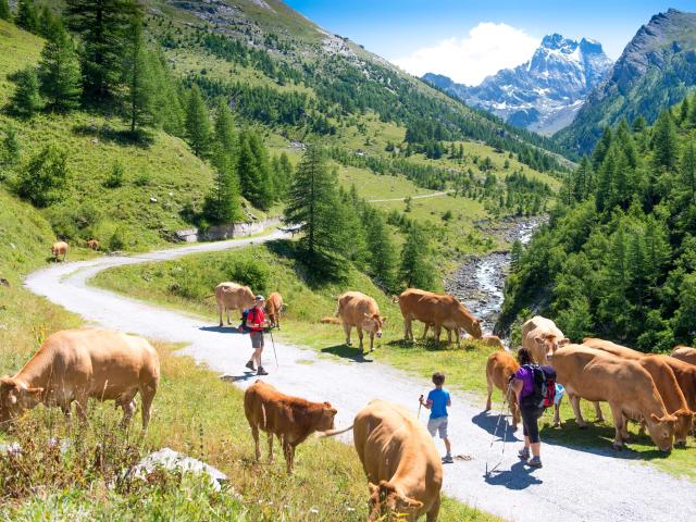 Visoete 131 Images Et Reves.com