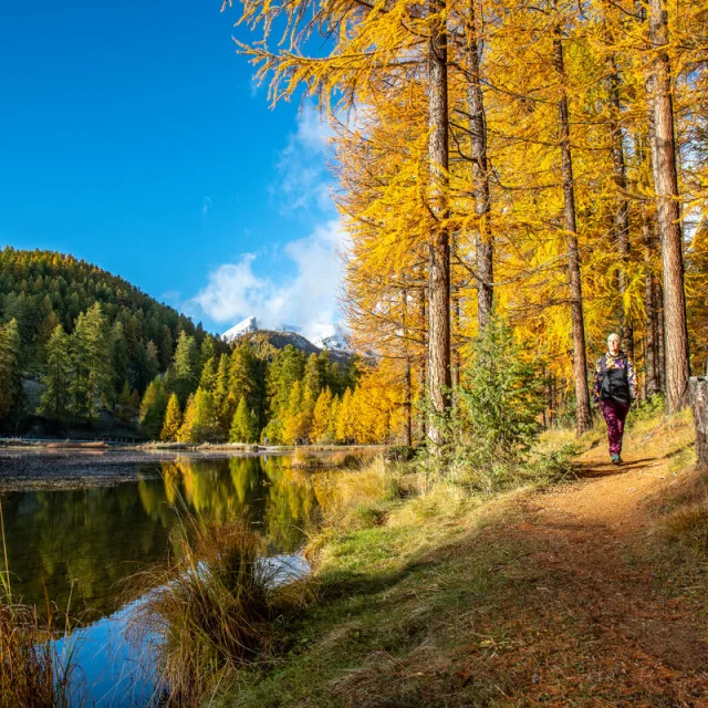 Lac De Roue A Lautomne