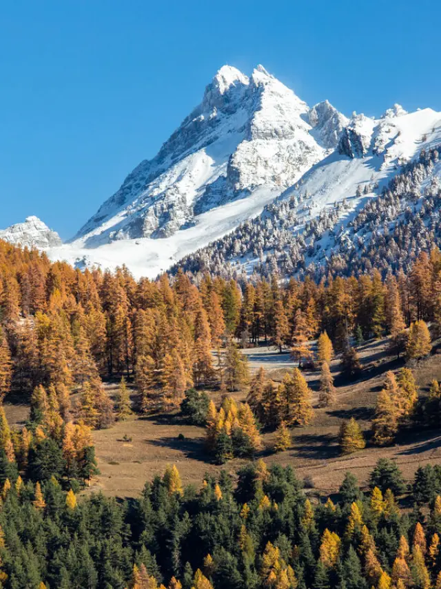 Quand l'automne embrasse l'hiver