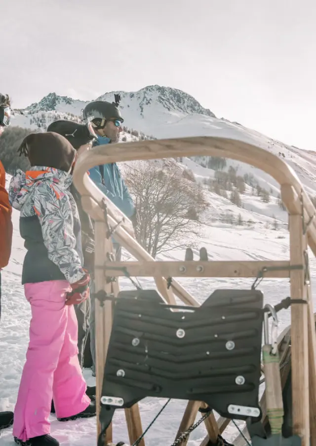 Chien de traineau-Robin Antoine