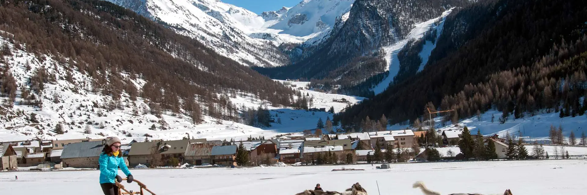 Chiens De Traineau Queyras 05