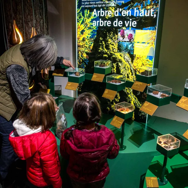 Activites Enfant Montagne 12 Ans