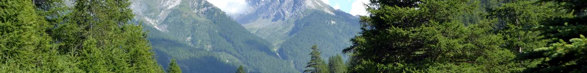 Camping Queyras Guillestrois
