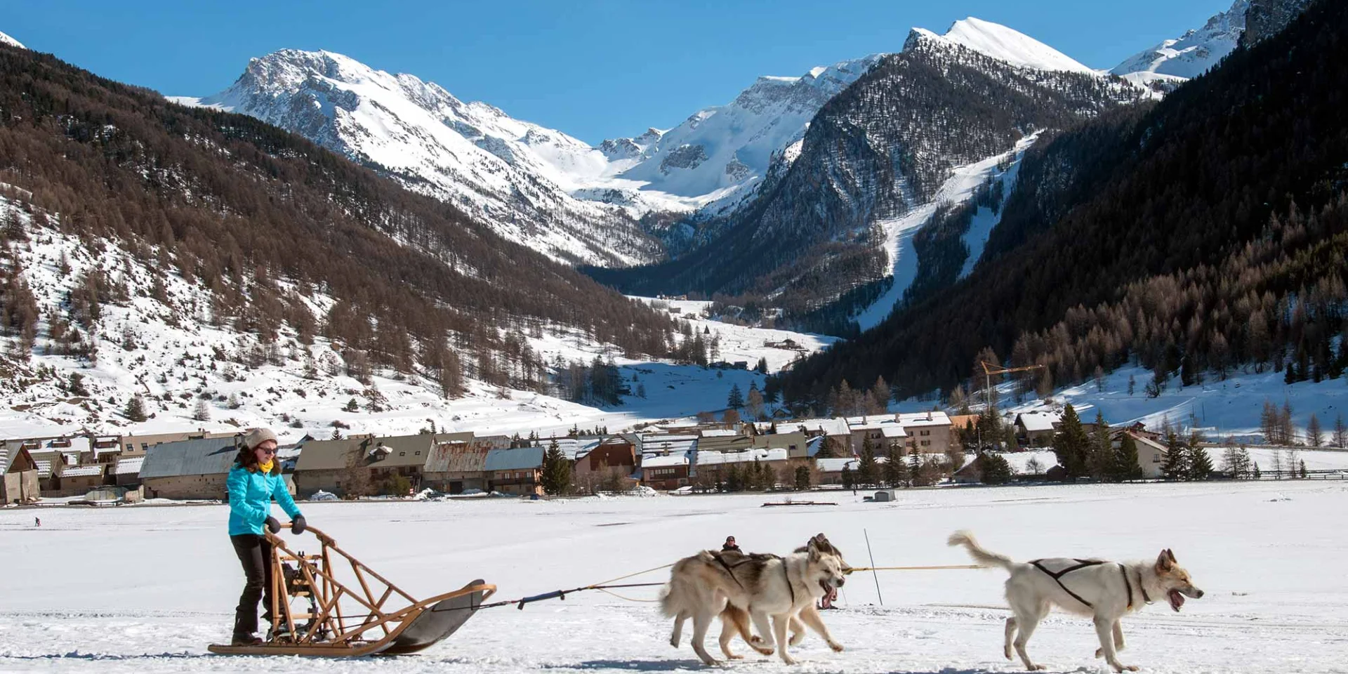 Chiens De Traineau Queyras 05