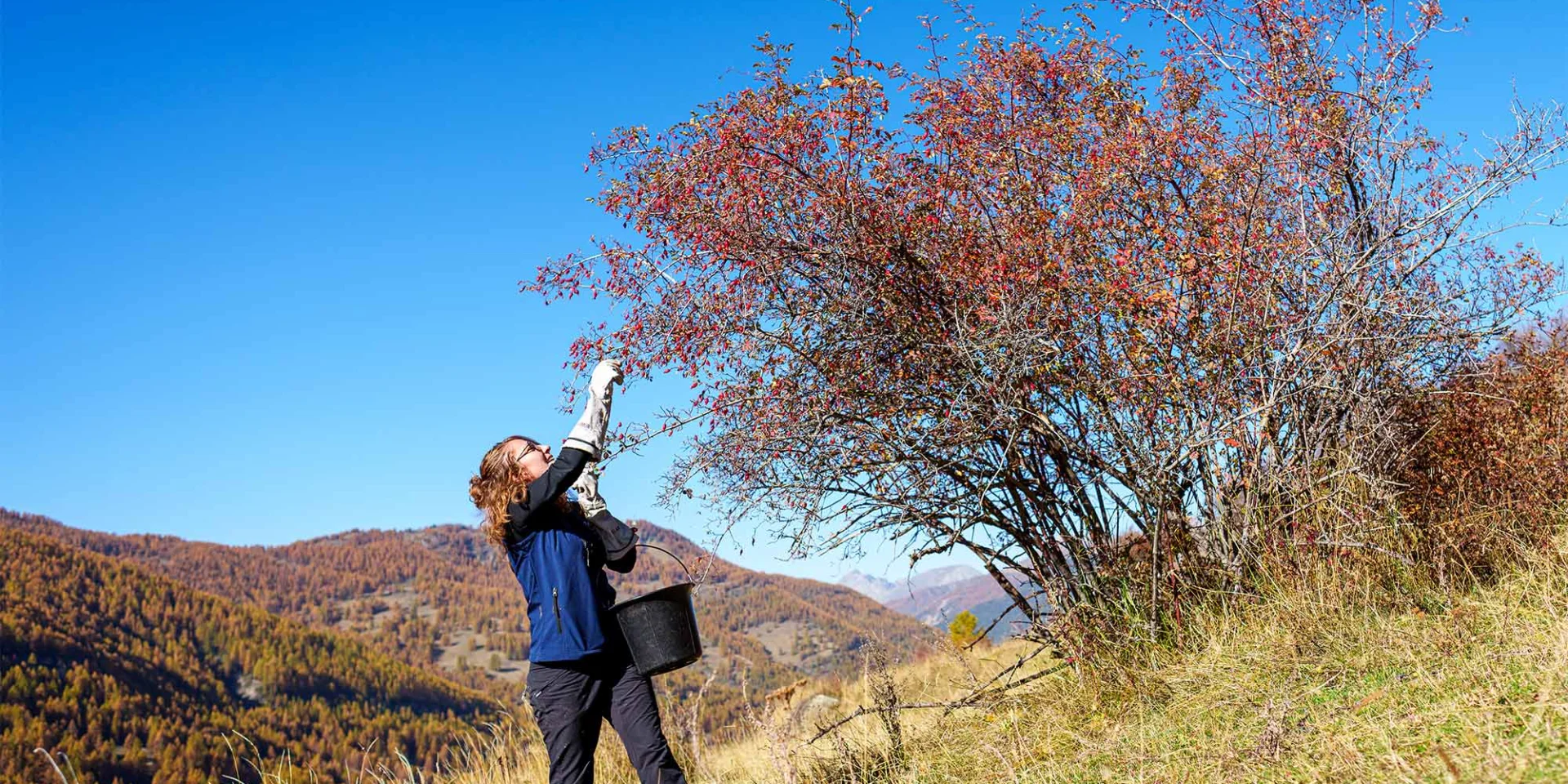 Initiatives Positives Nature Queyras