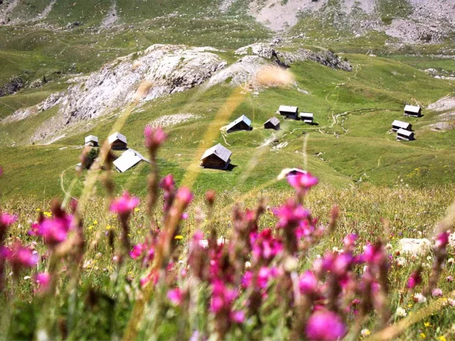 Queyras Printemps Ete