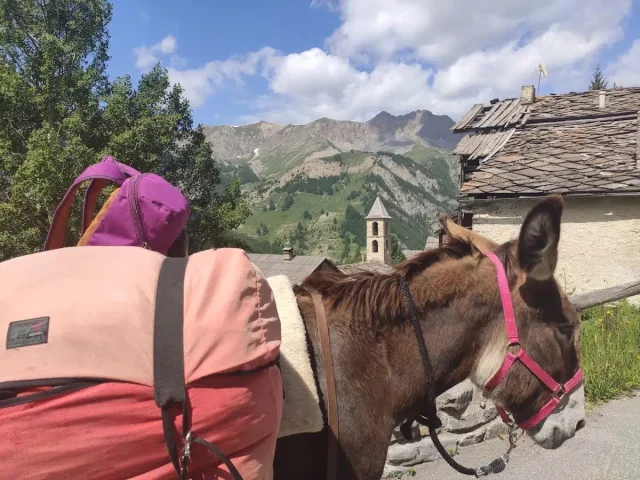 A Vos Anes Galopez A La Decouverte Du Queyras En Famille