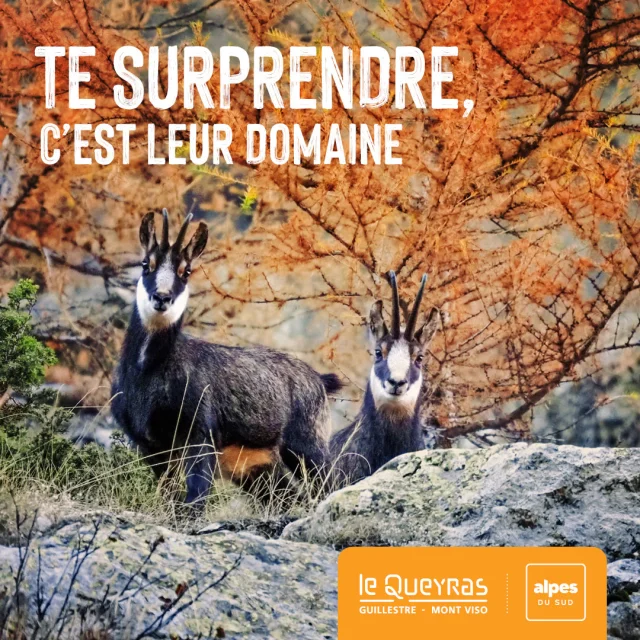 Guillestrois Queyras automne 2025