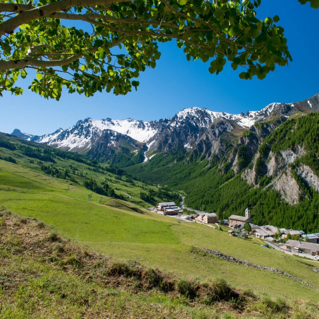 webcam st véran printemps