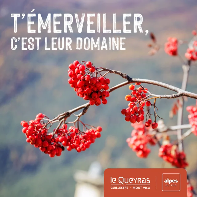 Guillestrois Queyras automne 2025