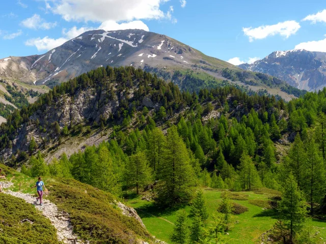 Bon Plan Queyras Montagne