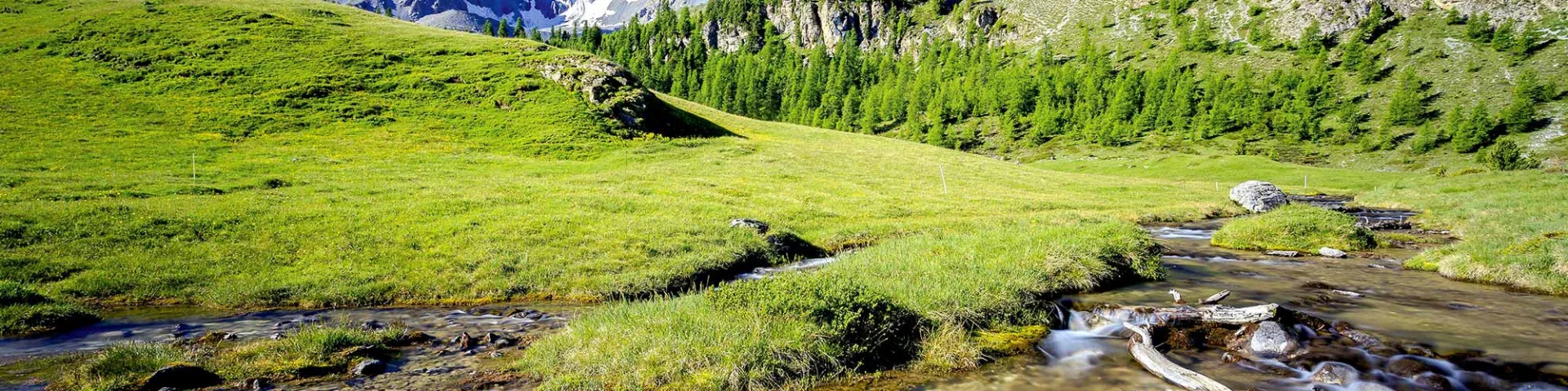 Ete Queyras Montagne
