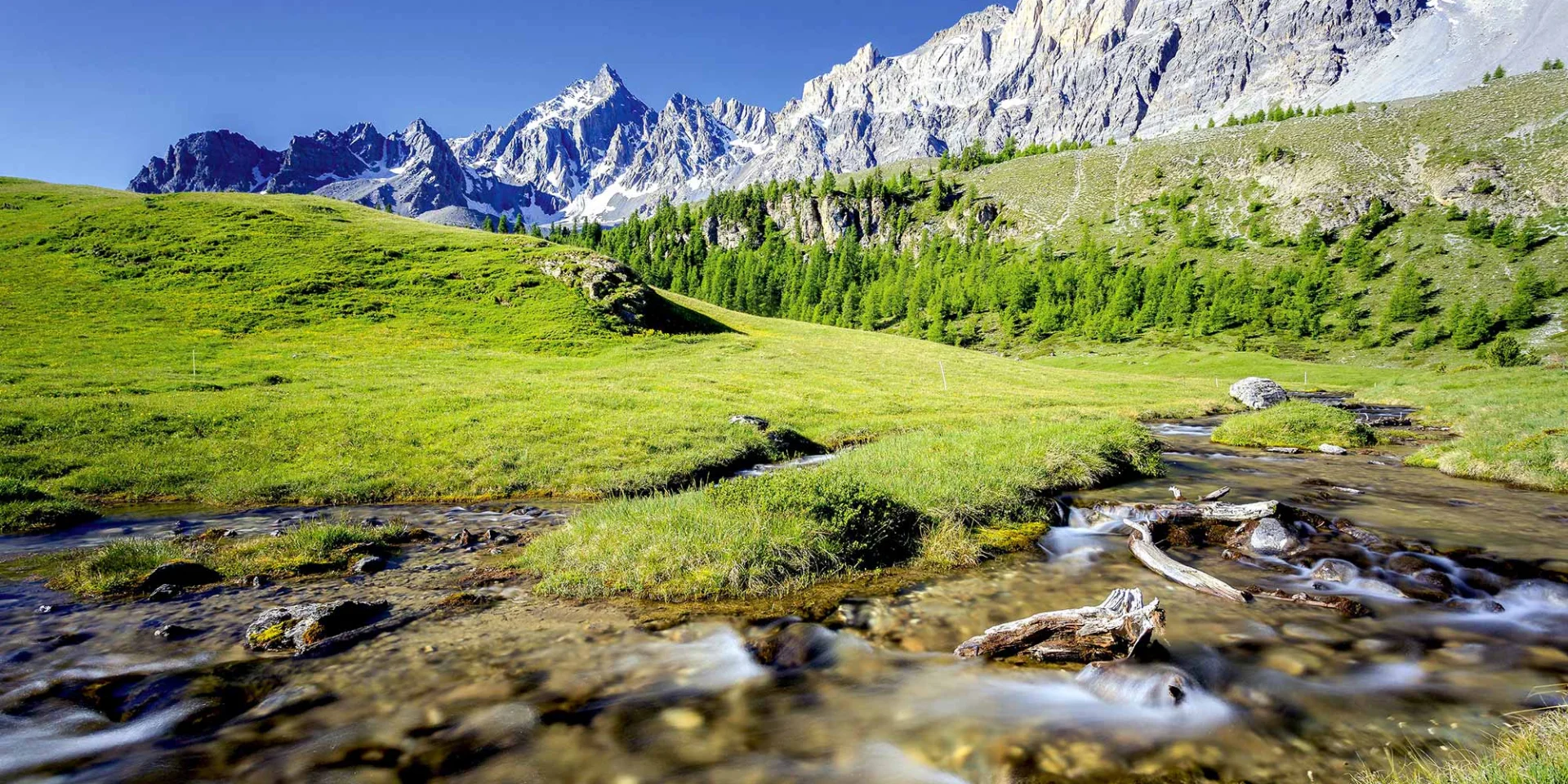 Ete Queyras Montagne