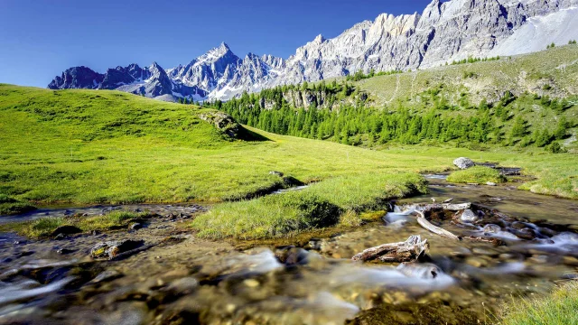 Ete Queyras Montagne