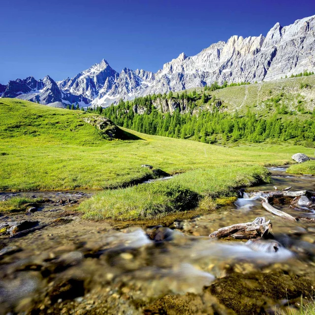 Ete Queyras Montagne