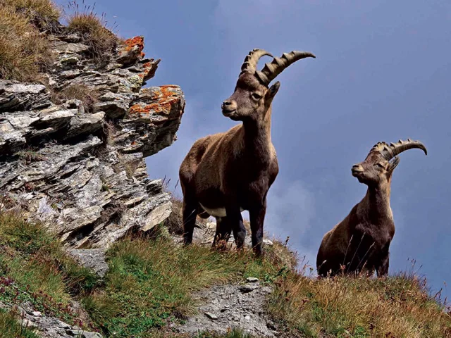 Offre Scolaire Queryas Enfant 9