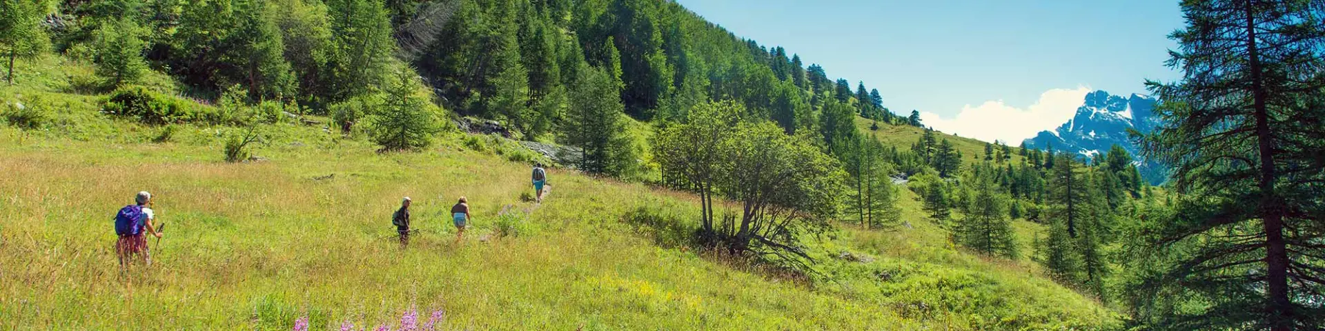 Queyras Guillestrois Activites