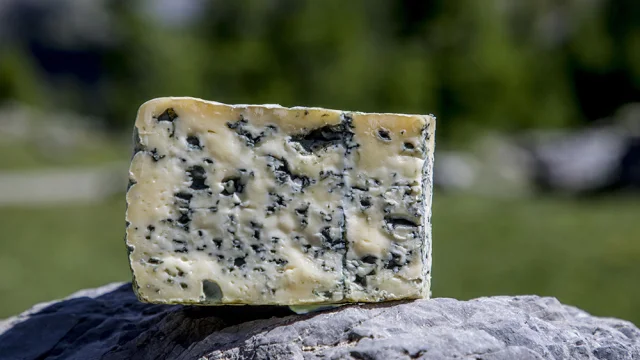 Bleu Du Queyras Mont Dauphin Patrick Domeyne 05