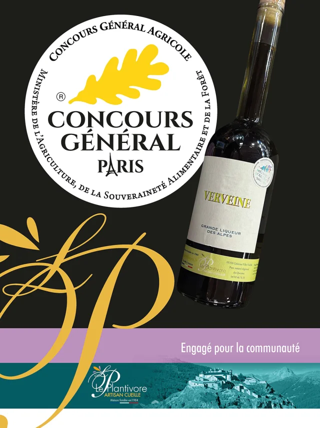 Verveine Argent 05