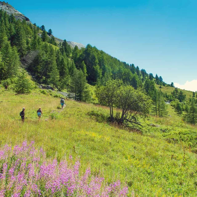 Queyras Guillestrois Activites