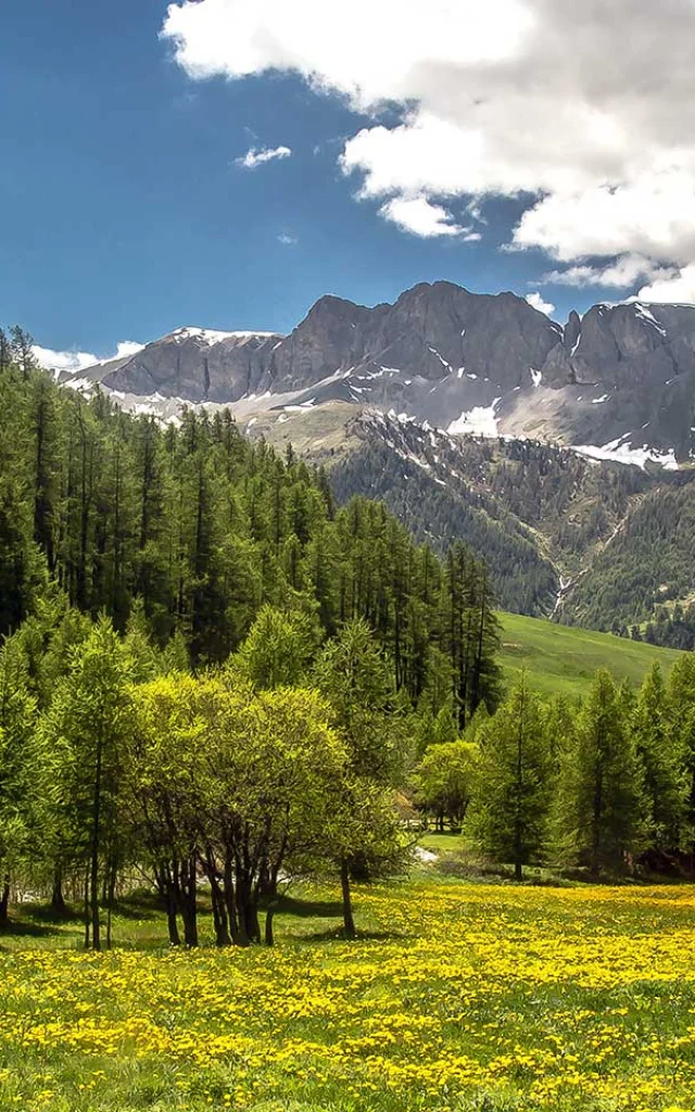 Sejour Montagne