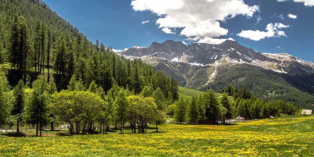 Sejour Montagne