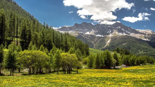 Sejour Montagne