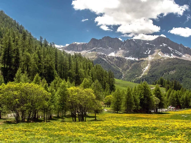 Sejour Montagne