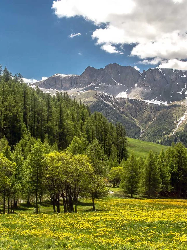 Sejour Montagne